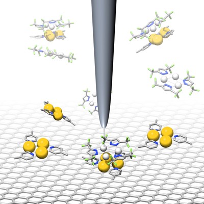 TOC-Pyridinat-Gold-CTCs