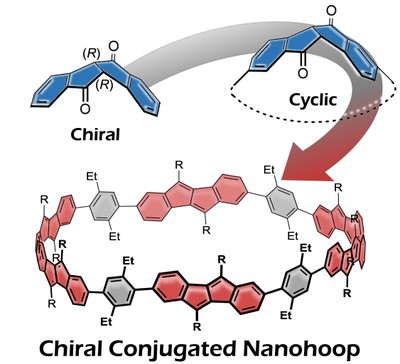 TOC_6-DBP-4-Ph-hoop